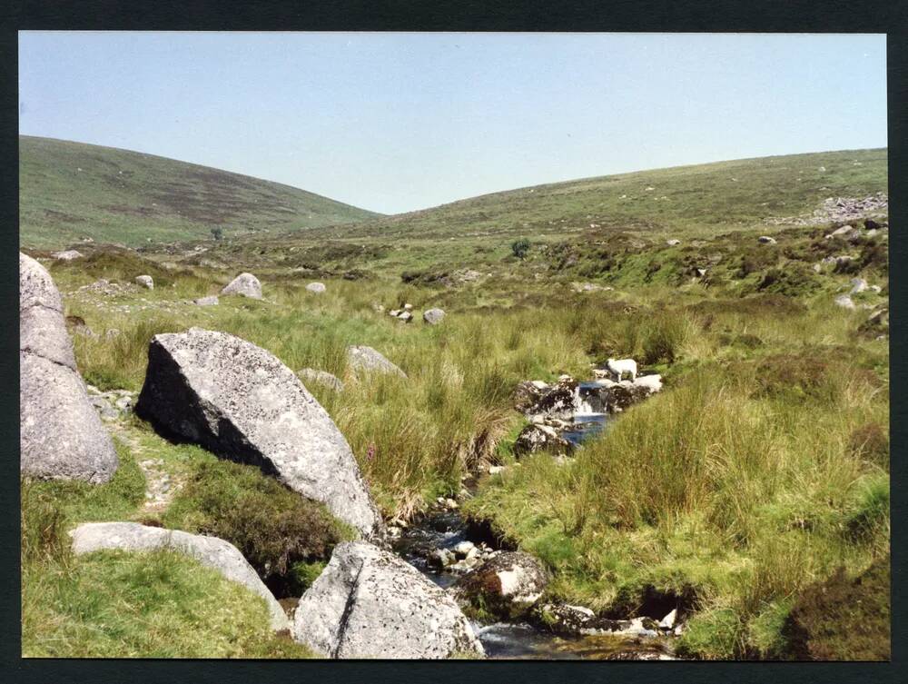 An image from the Dartmoor Trust Archive