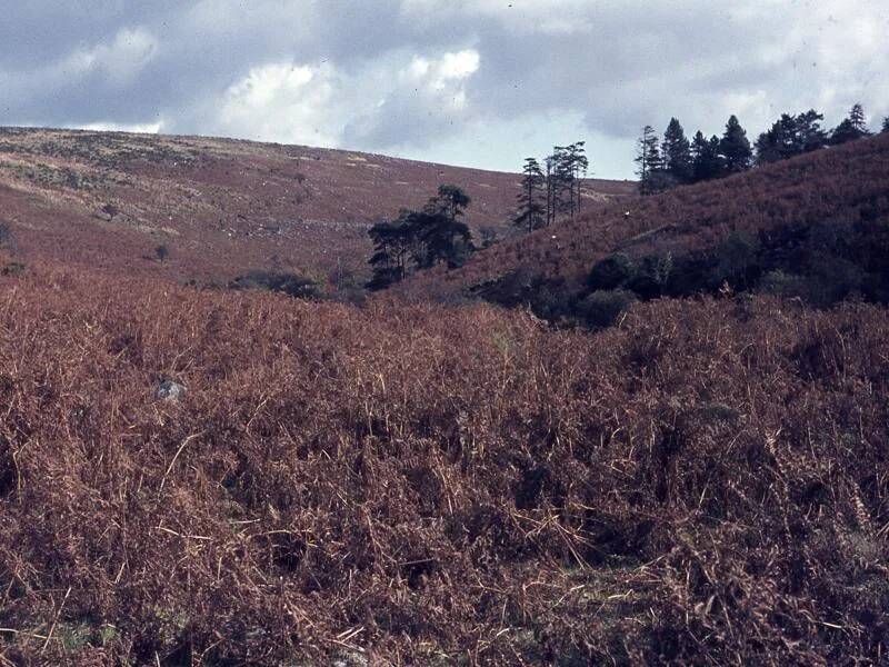 An image from the Dartmoor Trust Archive