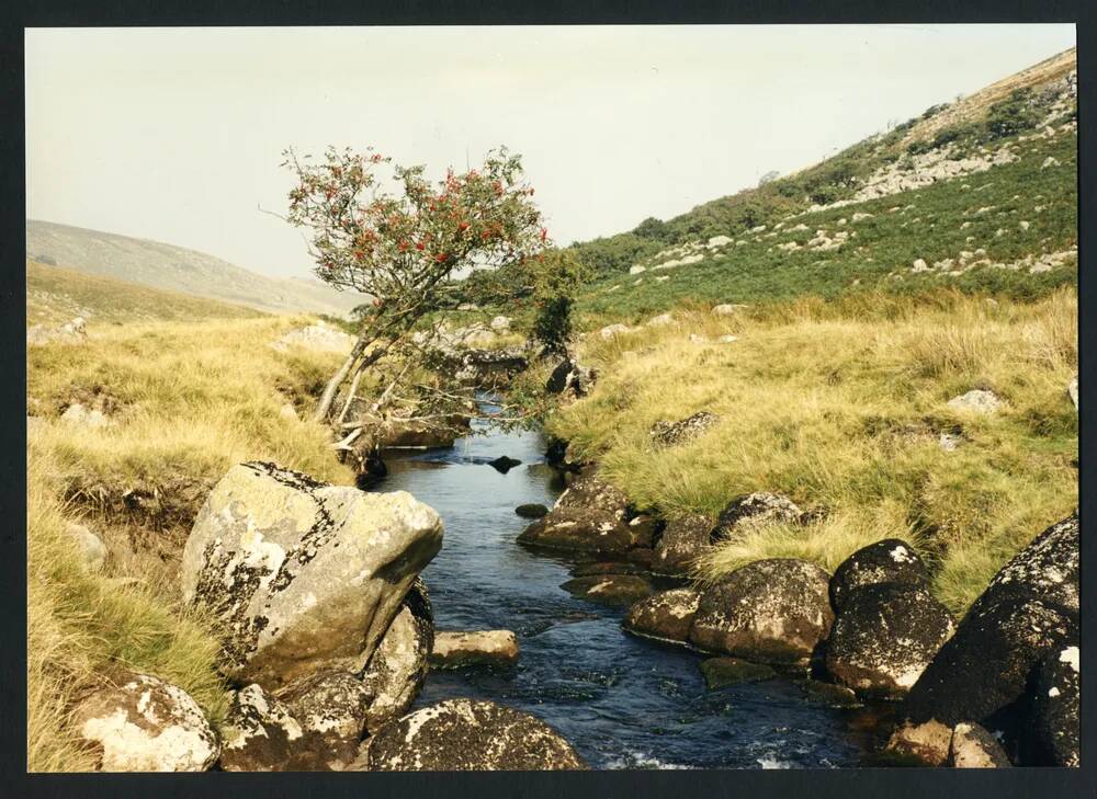 An image from the Dartmoor Trust Archive