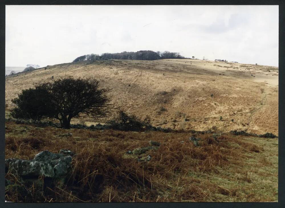 An image from the Dartmoor Trust Archive