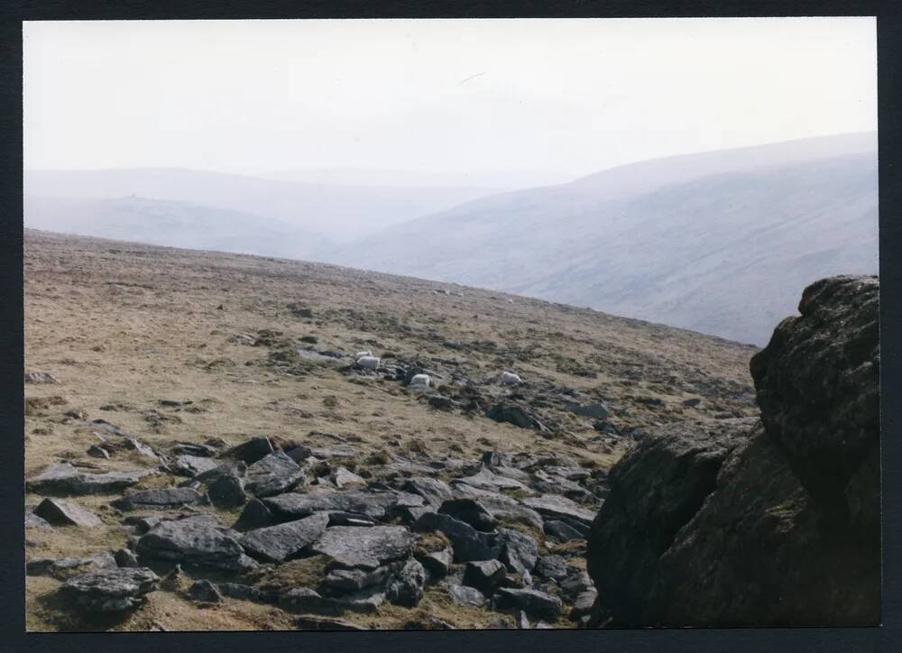 An image from the Dartmoor Trust Archive