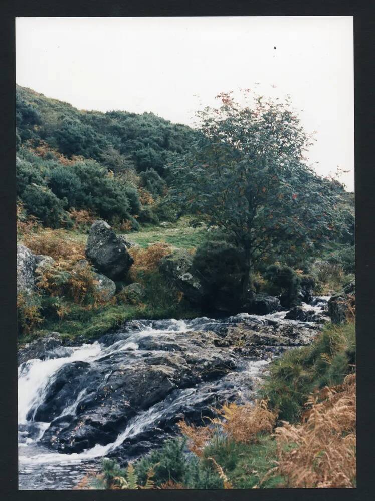 An image from the Dartmoor Trust Archive