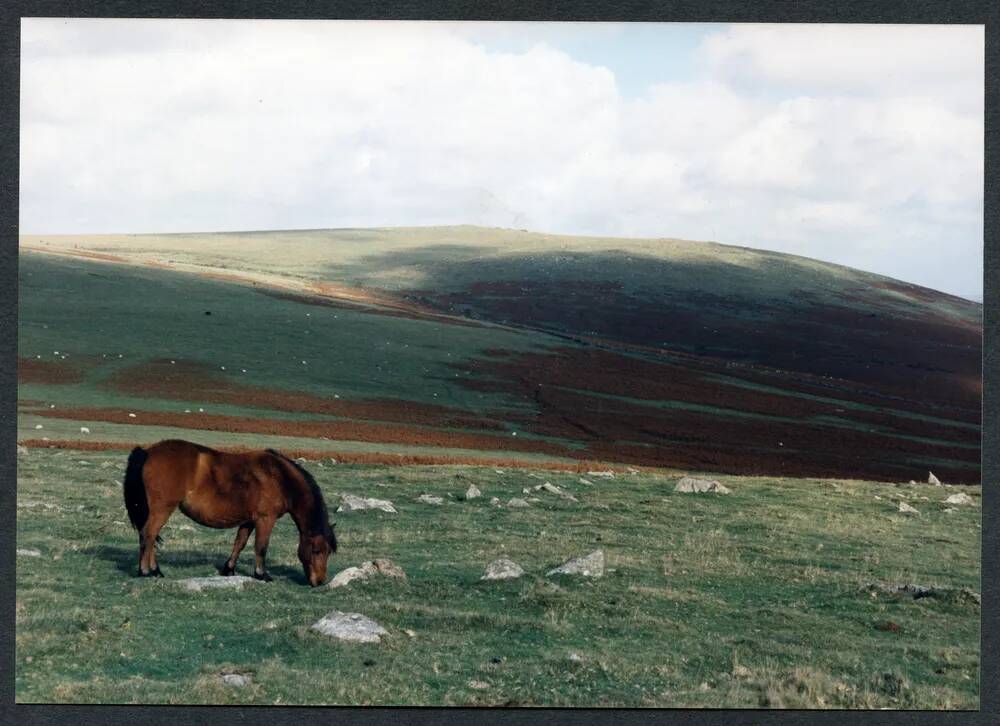 An image from the Dartmoor Trust Archive