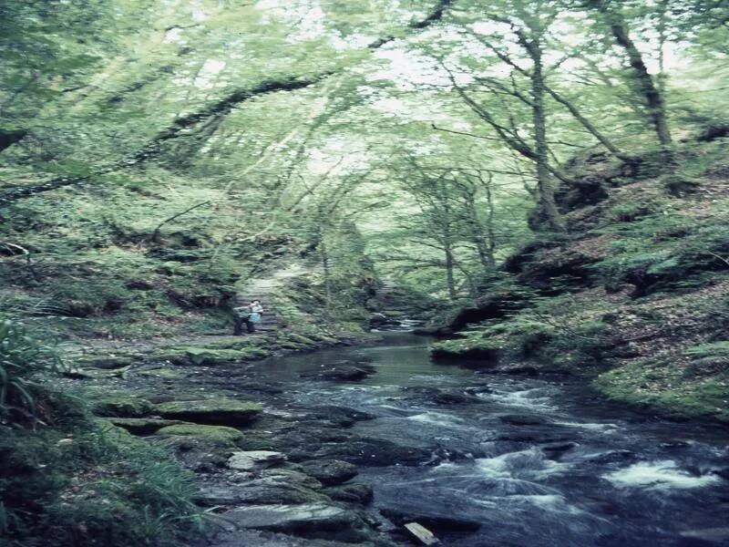 An image from the Dartmoor Trust Archive