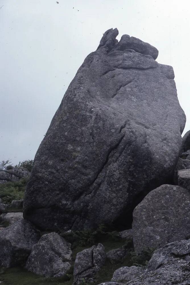 An image from the Dartmoor Trust Archive