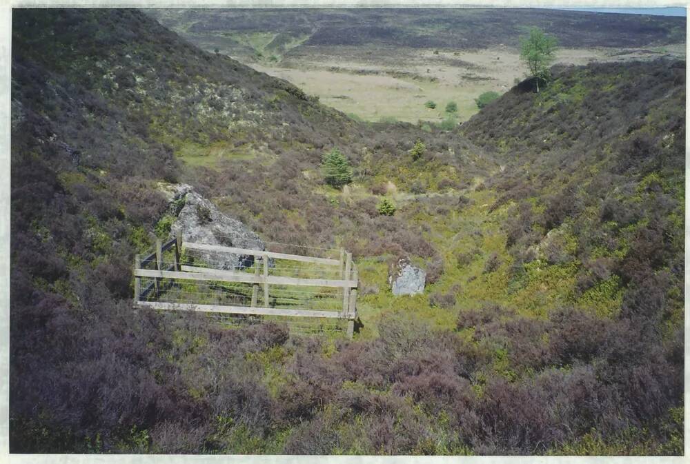 An image from the Dartmoor Trust Archive