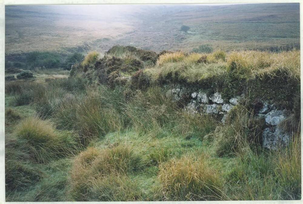 An image from the Dartmoor Trust Archive