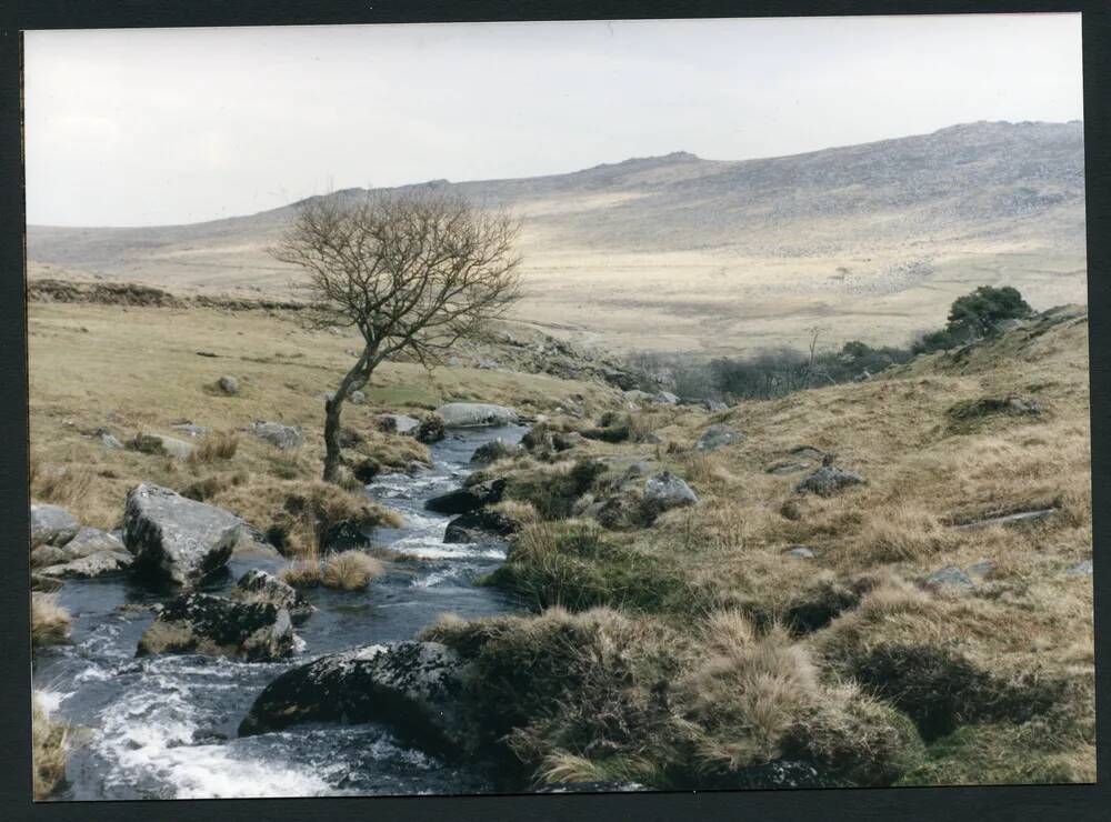 An image from the Dartmoor Trust Archive