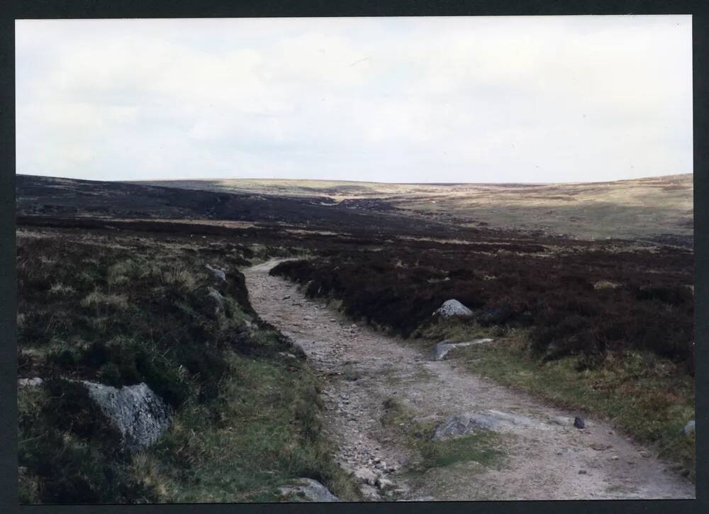 An image from the Dartmoor Trust Archive