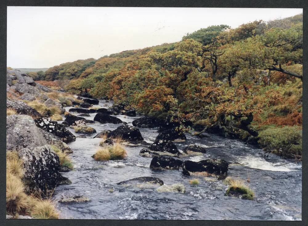 An image from the Dartmoor Trust Archive