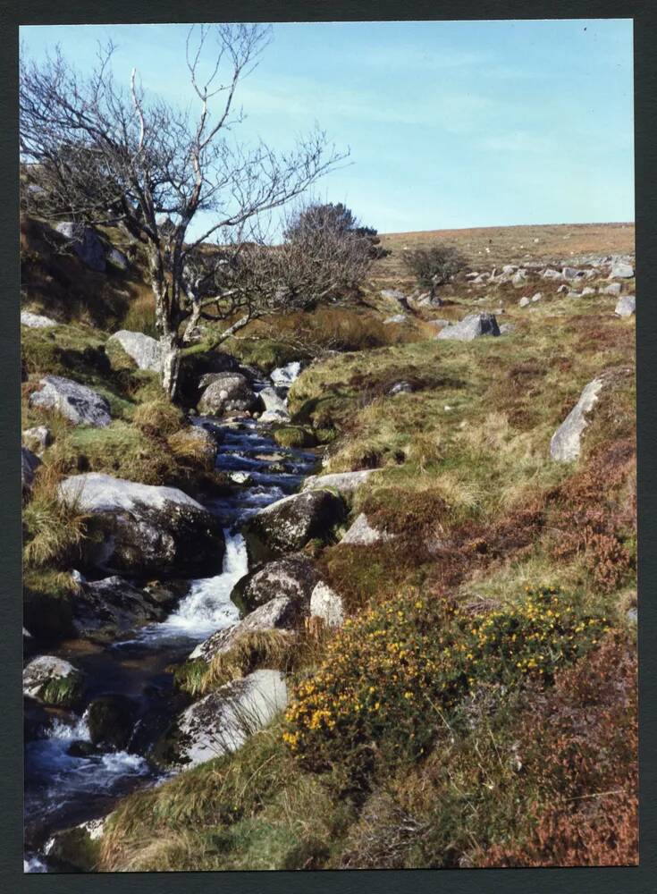 An image from the Dartmoor Trust Archive