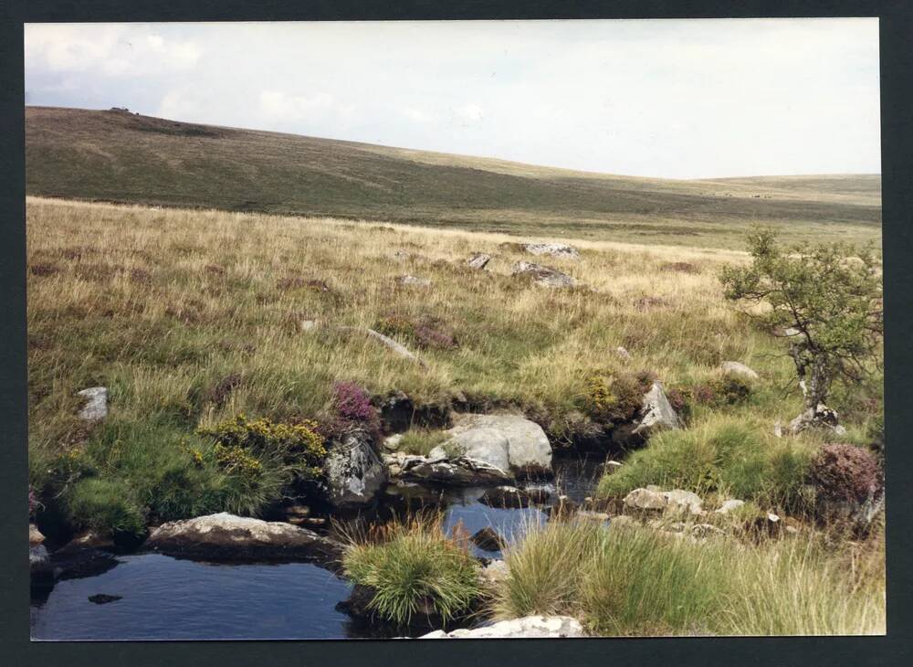 An image from the Dartmoor Trust Archive