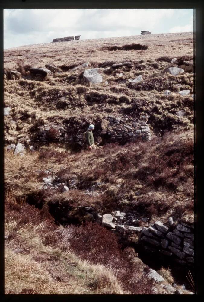 Wild Tor Well