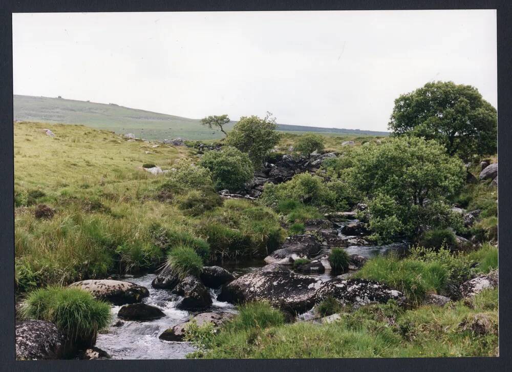 An image from the Dartmoor Trust Archive