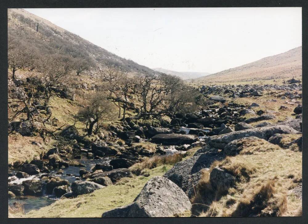 An image from the Dartmoor Trust Archive