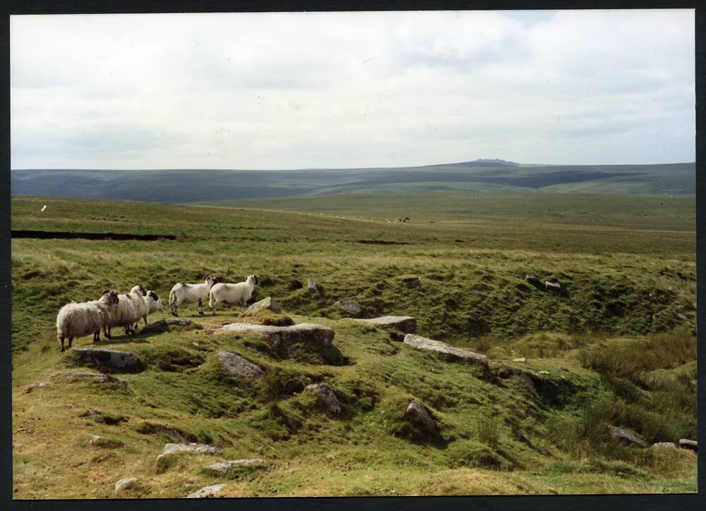 An image from the Dartmoor Trust Archive