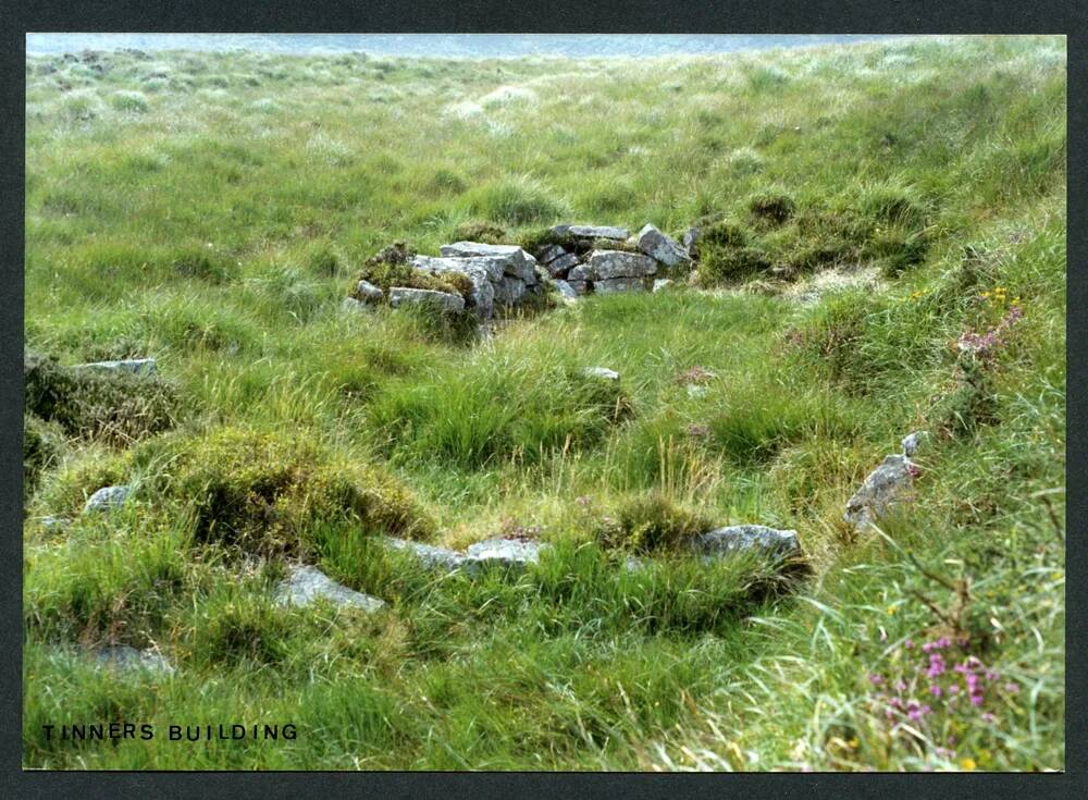 An image from the Dartmoor Trust Archive