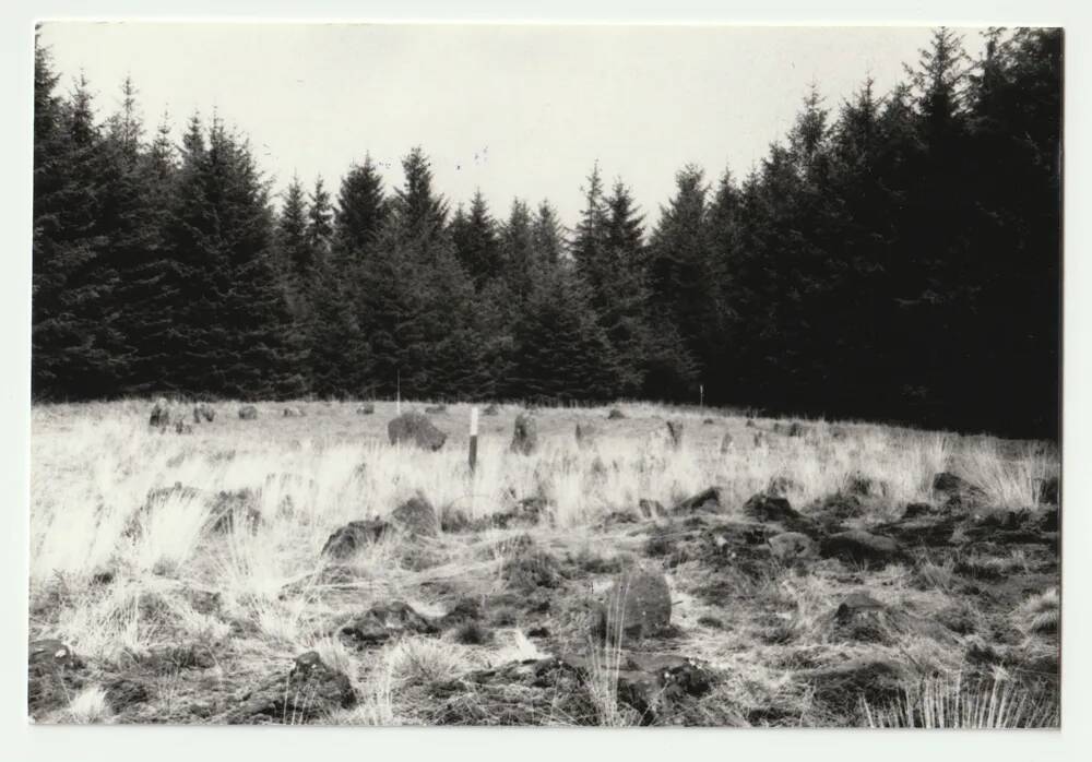 An image from the Dartmoor Trust Archive