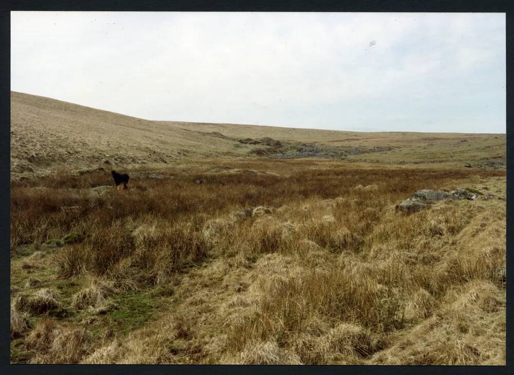 An image from the Dartmoor Trust Archive