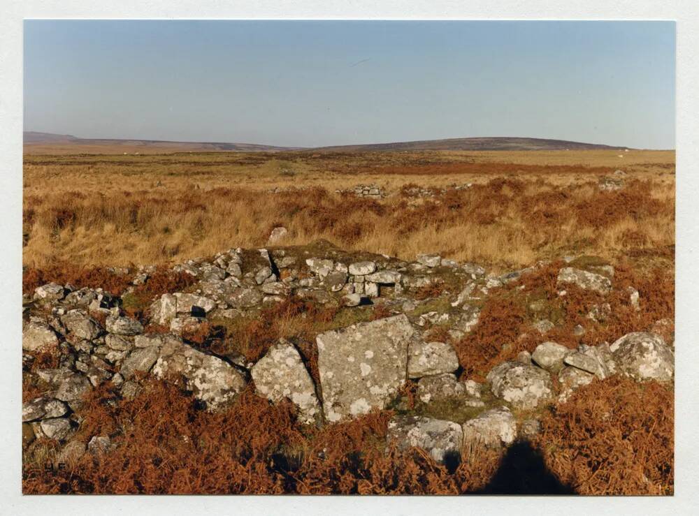 An image from the Dartmoor Trust Archive