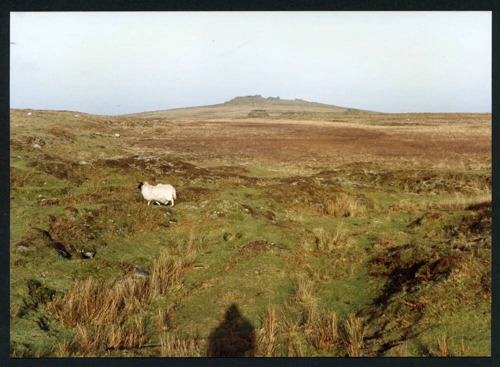 An image from the Dartmoor Trust Archive