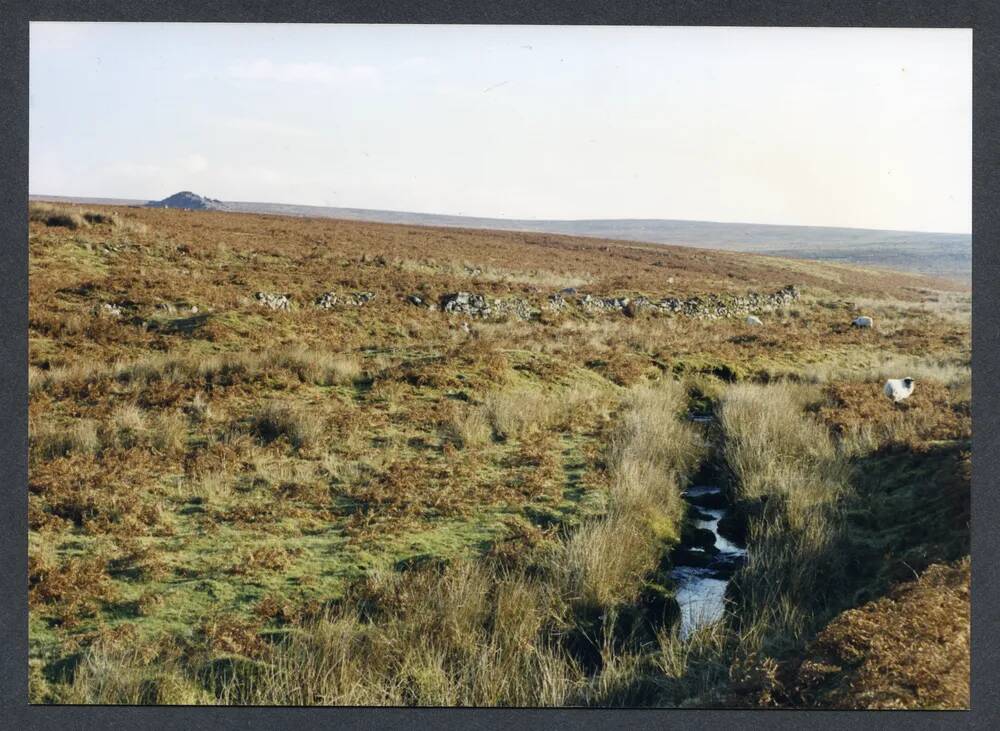 An image from the Dartmoor Trust Archive