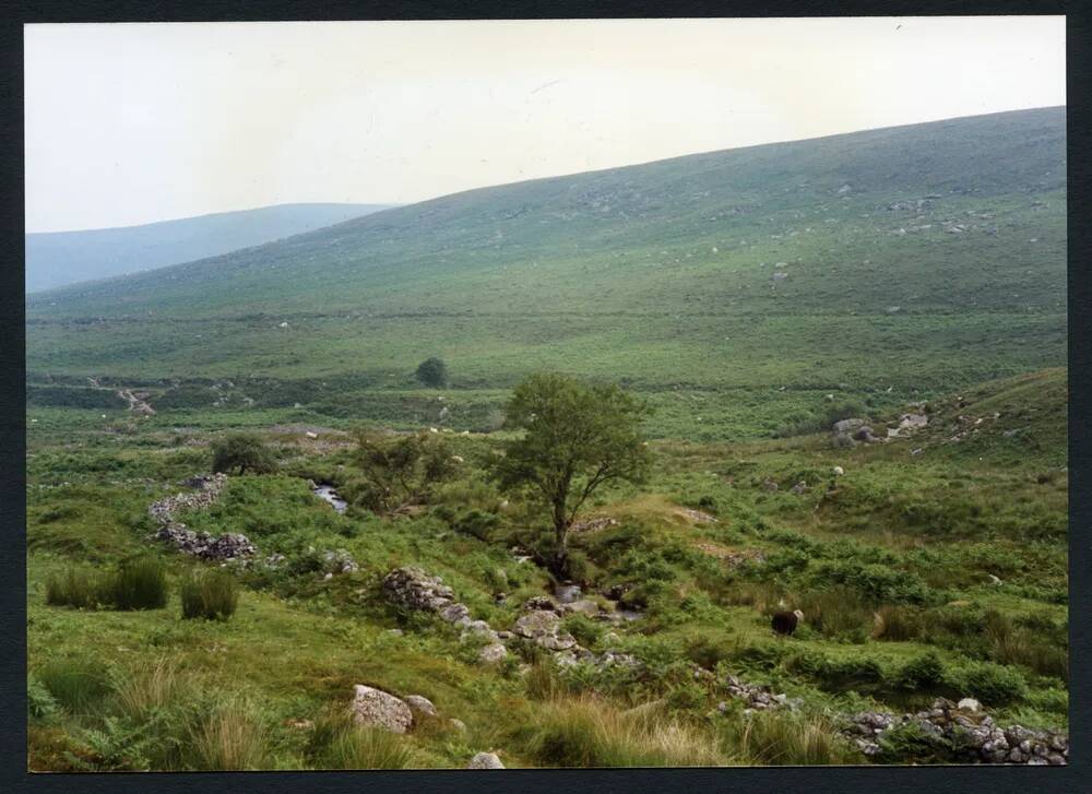 An image from the Dartmoor Trust Archive