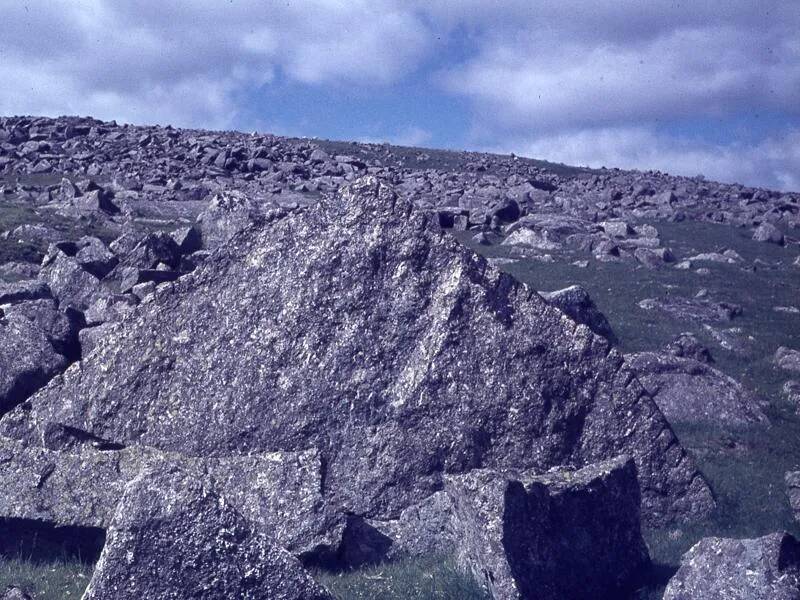 An image from the Dartmoor Trust Archive