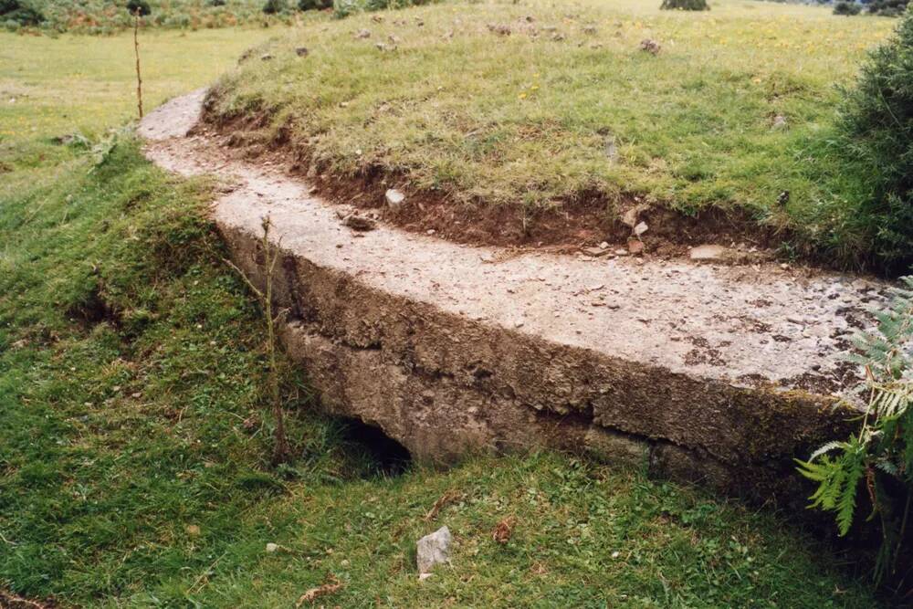 An image from the Dartmoor Trust Archive