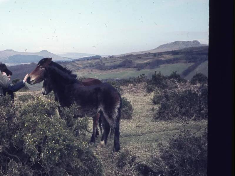 An image from the Dartmoor Trust Archive