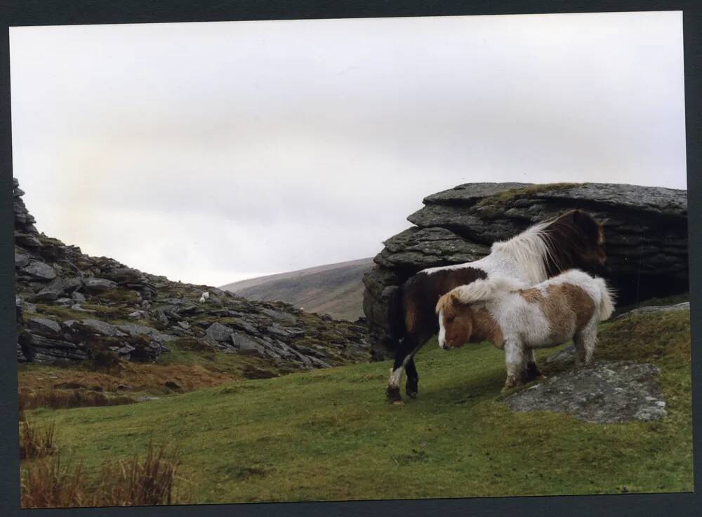 An image from the Dartmoor Trust Archive