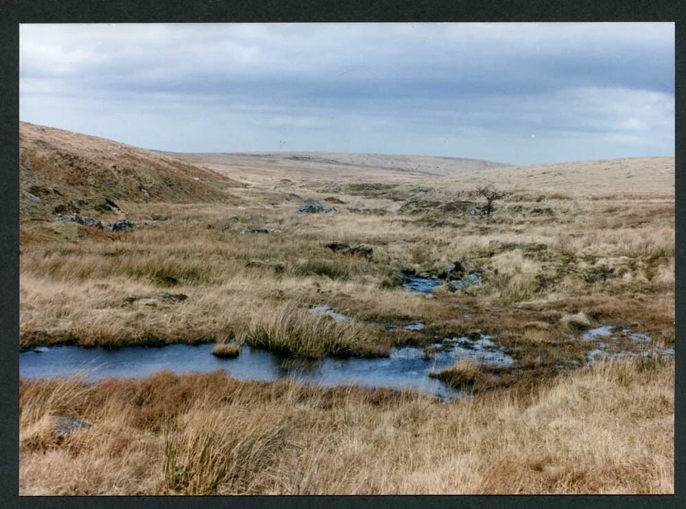 An image from the Dartmoor Trust Archive