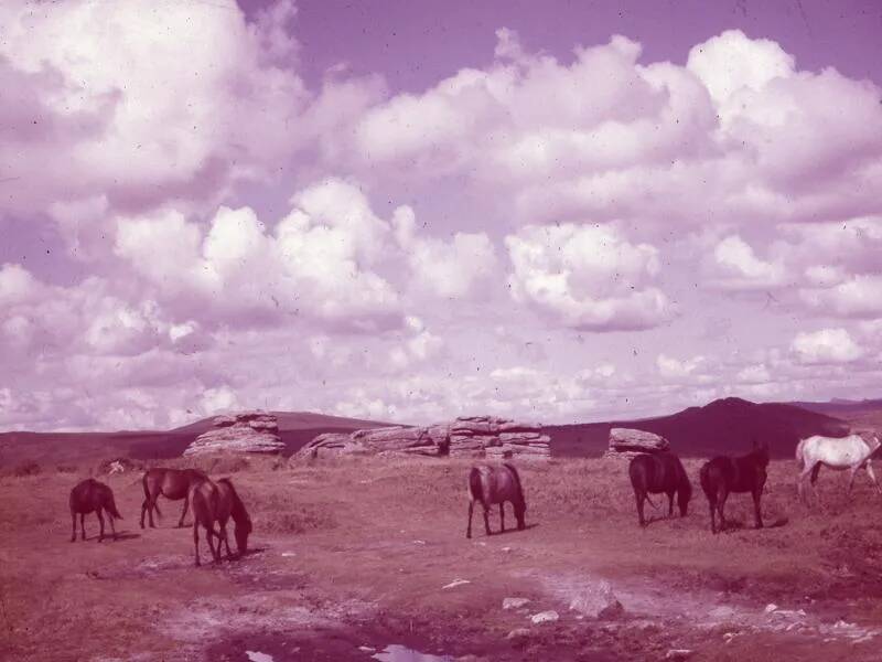 An image from the Dartmoor Trust Archive