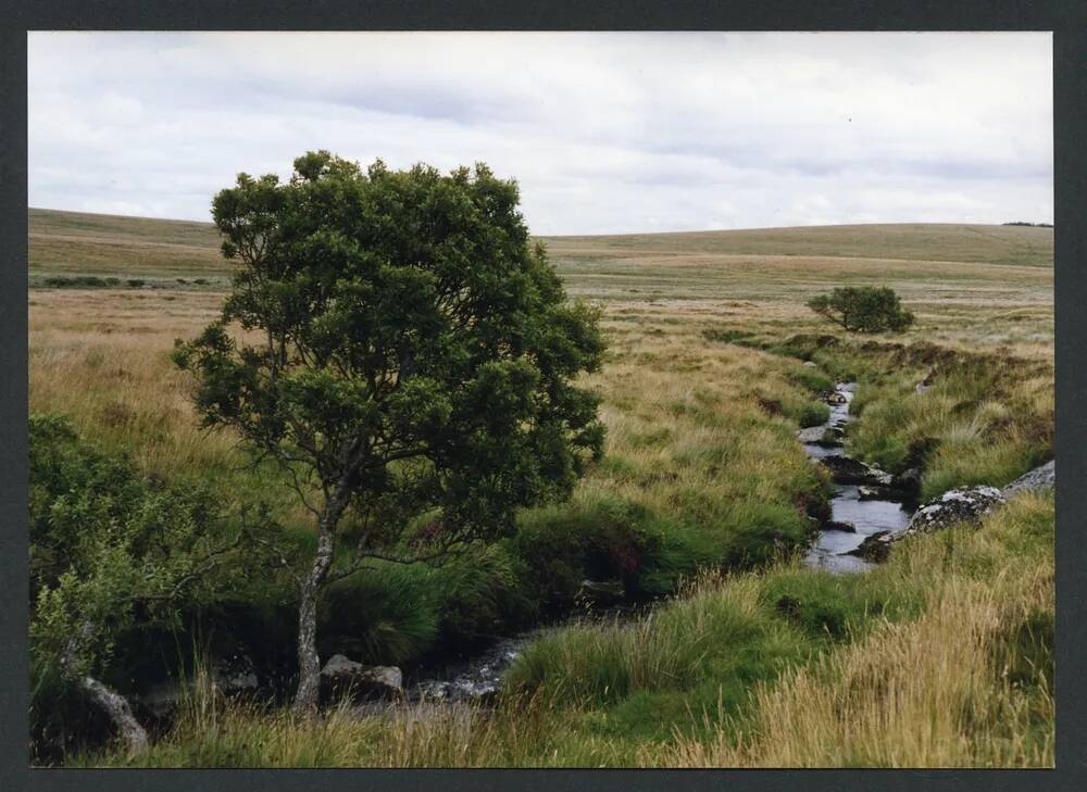 An image from the Dartmoor Trust Archive