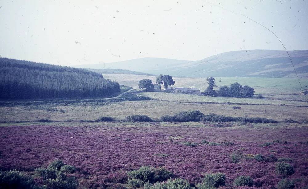 An image from the Dartmoor Trust Archive