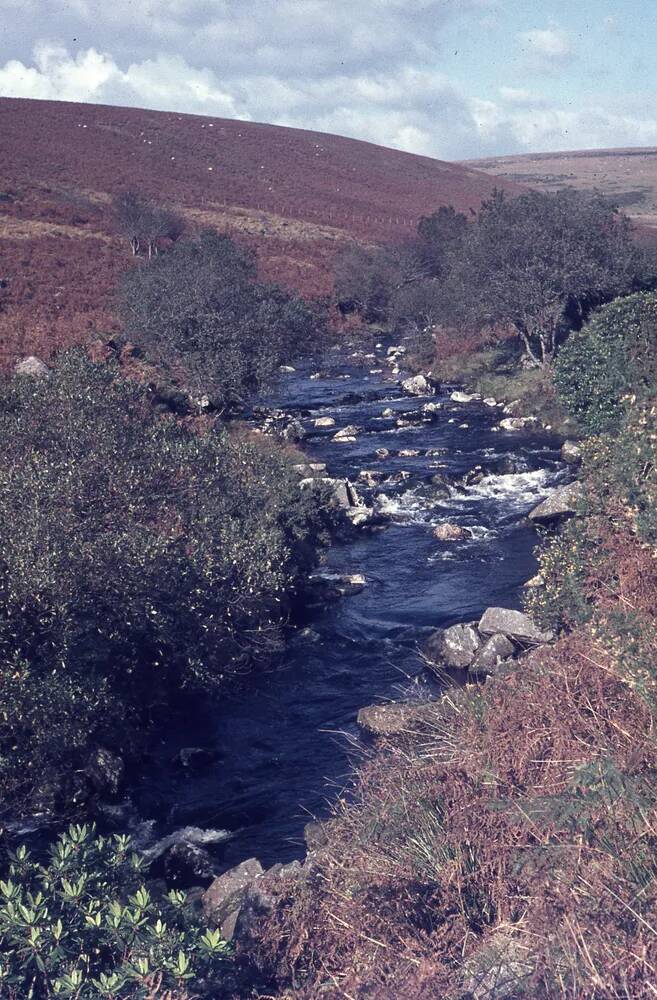 An image from the Dartmoor Trust Archive