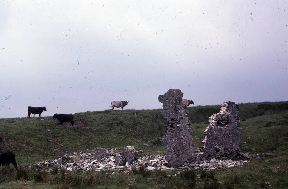 An image from the Dartmoor Trust Archive