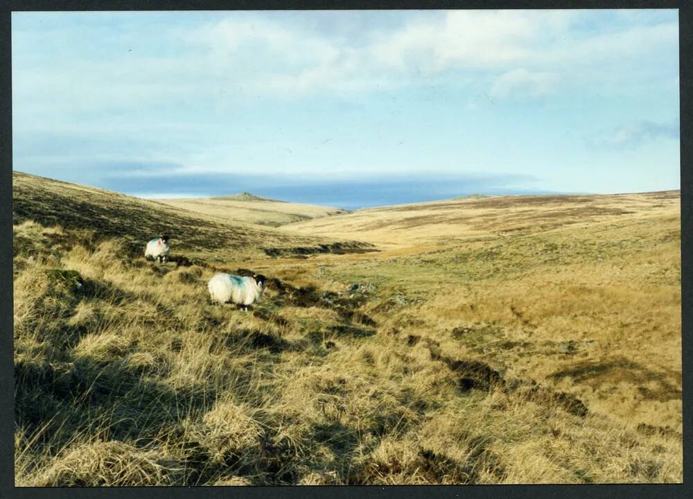 An image from the Dartmoor Trust Archive