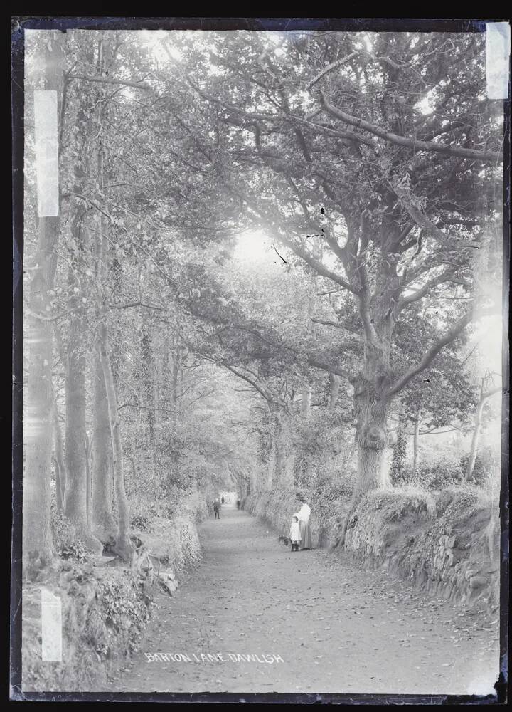 Barton Lane, Dawlish Warren