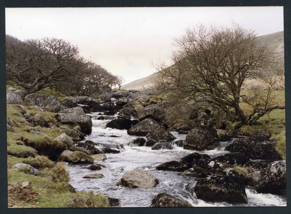 An image from the Dartmoor Trust Archive