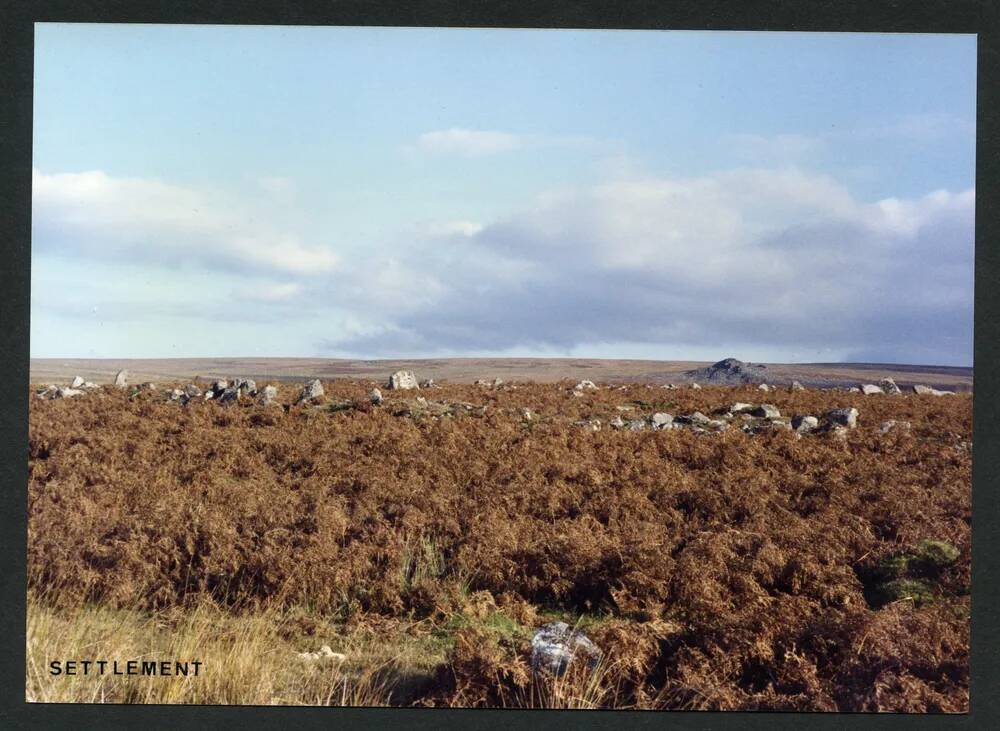 An image from the Dartmoor Trust Archive