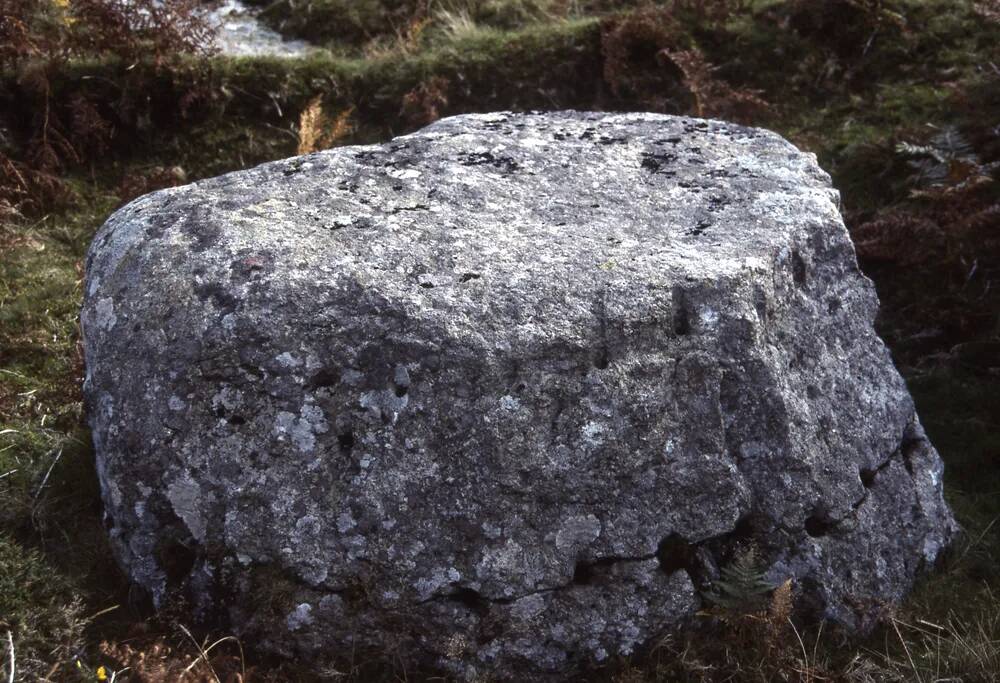 An image from the Dartmoor Trust Archive