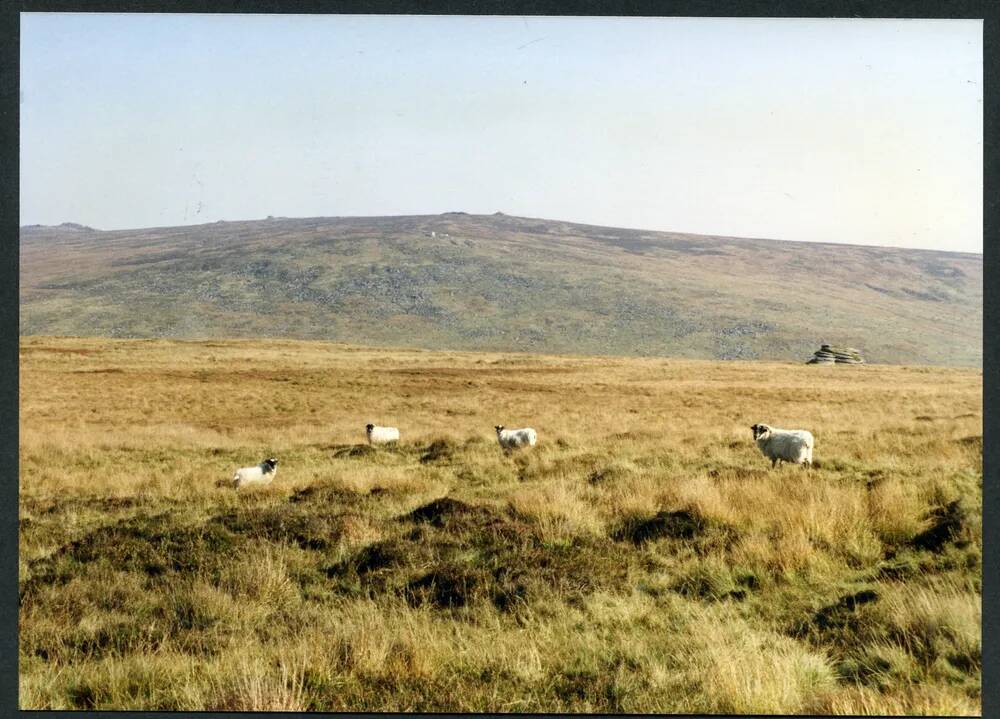 An image from the Dartmoor Trust Archive