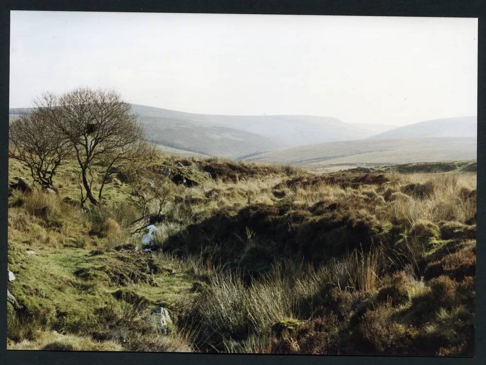 An image from the Dartmoor Trust Archive