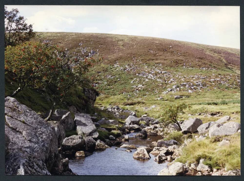 An image from the Dartmoor Trust Archive