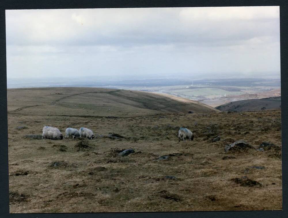 An image from the Dartmoor Trust Archive