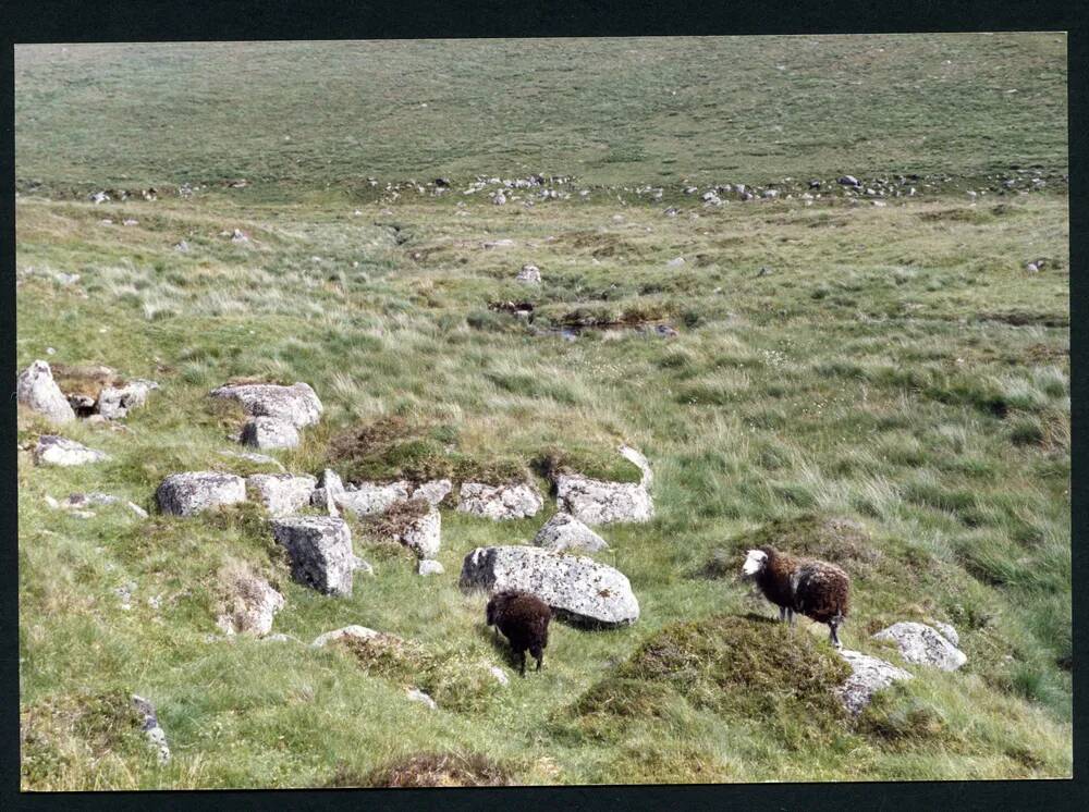 An image from the Dartmoor Trust Archive