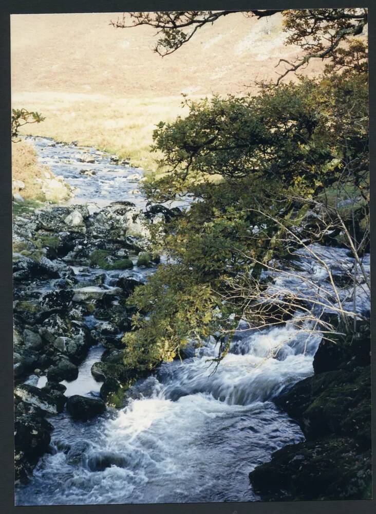 An image from the Dartmoor Trust Archive