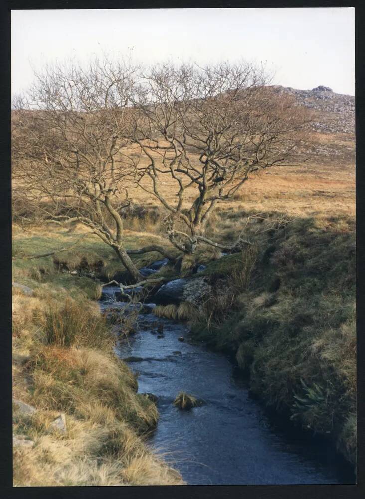 An image from the Dartmoor Trust Archive