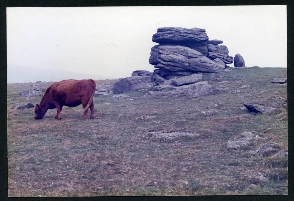 An image from the Dartmoor Trust Archive